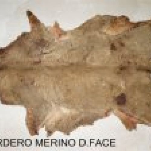 Cordero Merino Salados double face / Wet Salted Lambskin Merino double face