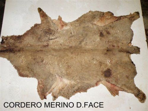 Cordero Merino Salados double face / Wet Salted Lambskin Merino double face